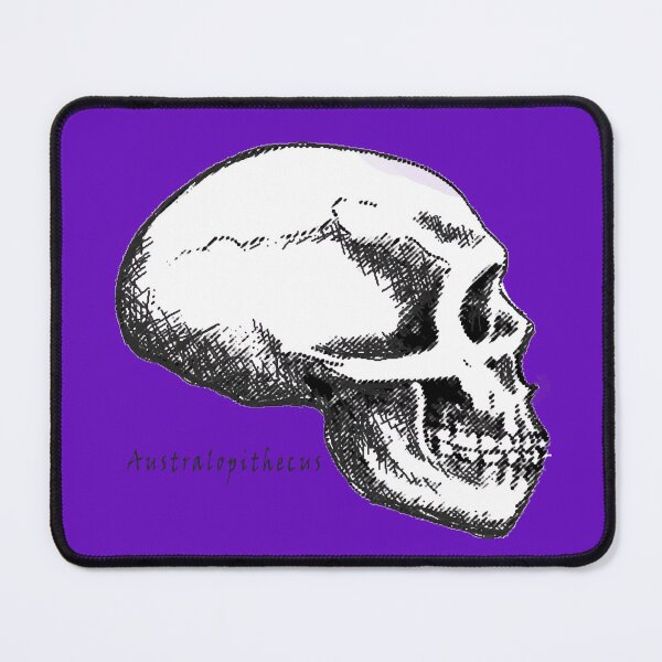 Item preview, Australopithecus Skull designed and sold by StudioEmilia.