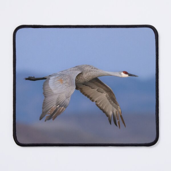 Item preview, Sandhill Crane in flight designed and sold by Eivor Kuchta.