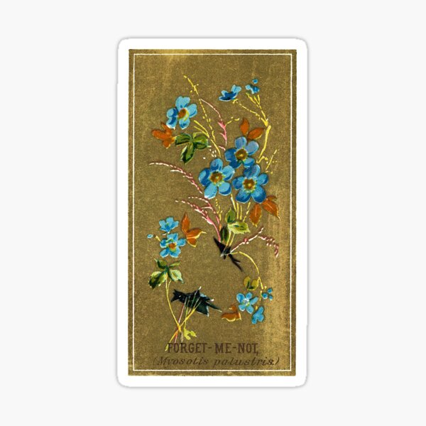 Item preview, Forget-Me-Not (Mysotis Palustris) Chromolithograph designed and sold by mamiespaw.