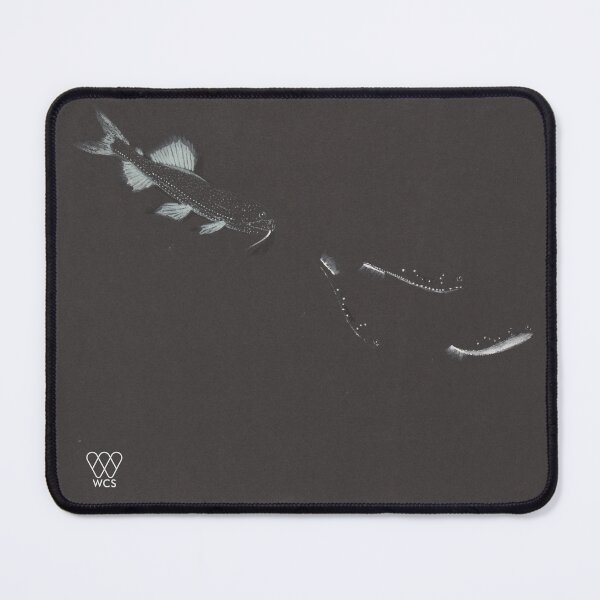 Item preview, Hudson Canyon Snaggletooth Pursuing Lanternfish by Night designed and sold by WCS-Archives.