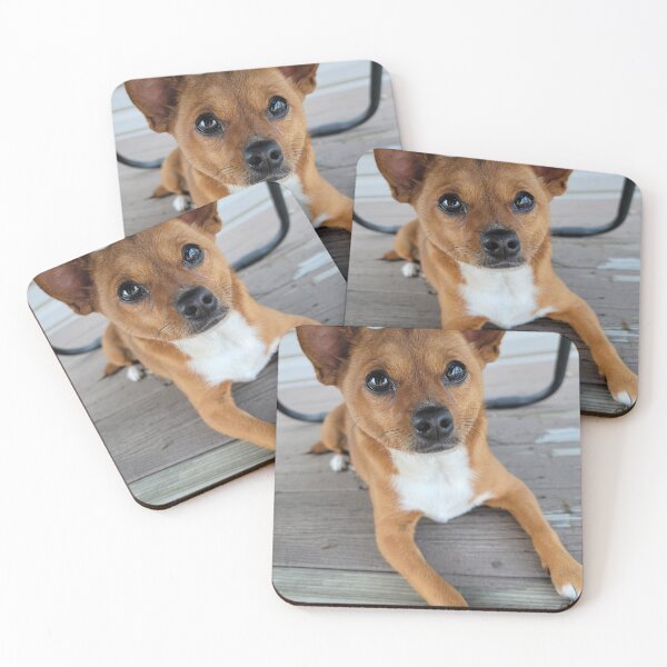 Item preview, chihuahua designed and sold by miranda0120.
