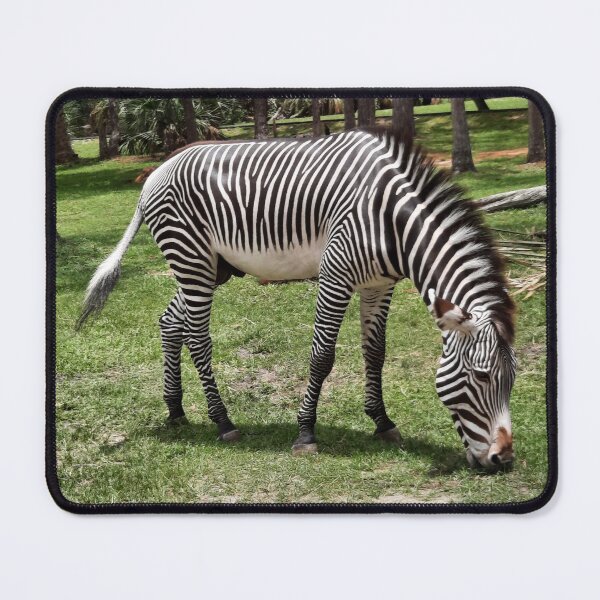 Item preview, Grazing Zebra designed and sold by ReefGlow.