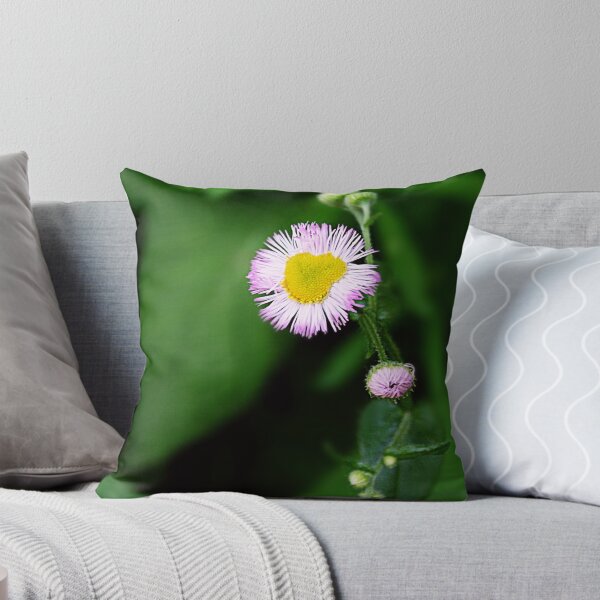 Item preview, Diminuitive designed and sold by Claude Johnson.