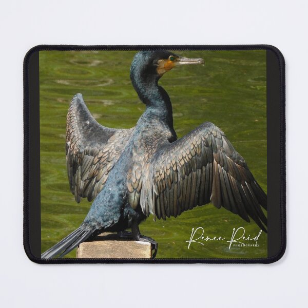 Item preview, Bird Water designed and sold by RREID84.