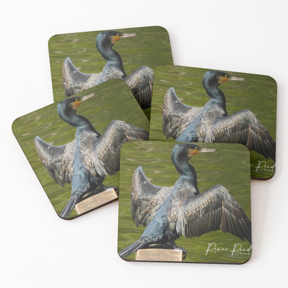 Item preview, Coasters (Set of 4) designed and sold by RREID84.