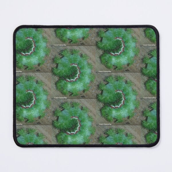 Item preview, A Spiky Green Caterpillar designed and sold by ReefGlow.