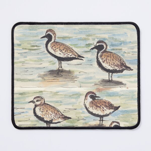 Item preview, Pacific golden plover designed and sold by BirdsAndBrush.