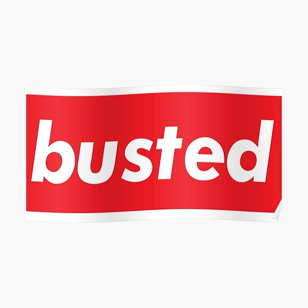 Busted Words Millennials Use Poster