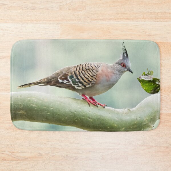Item preview, Walking with Wildlife - Crested Pigeon designed and sold by Jenny  Dyer.