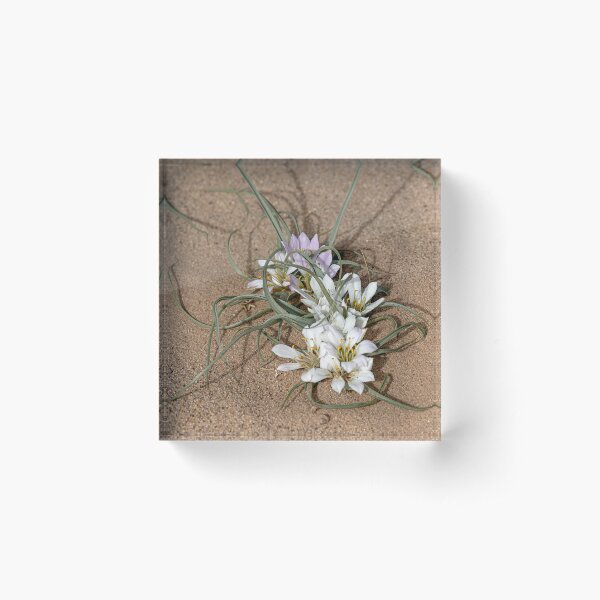 Item preview, Sahara Lily designed and sold by Marylou Badeaux.