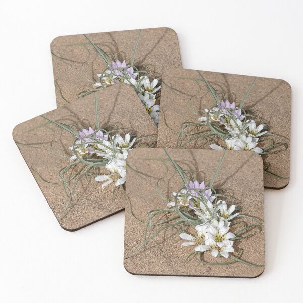 Item preview, Sahara Lily designed and sold by Marylou Badeaux.