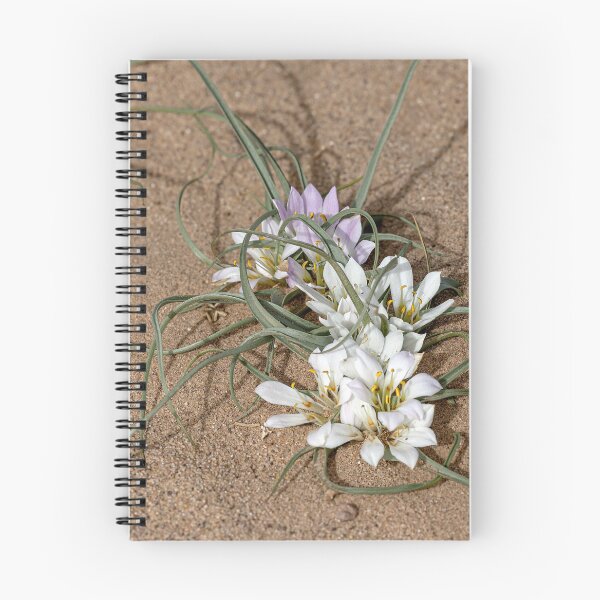 Item preview, Sahara Lily designed and sold by Marylou Badeaux.