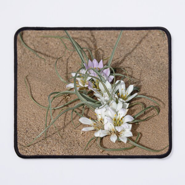 Item preview, Sahara Lily designed and sold by Marylou Badeaux.