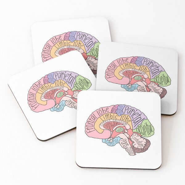 Item preview, Brain Structures designed and sold by neesheew.