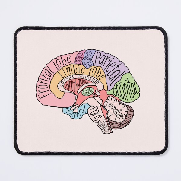 Item preview, Brain Structures designed and sold by neesheew.