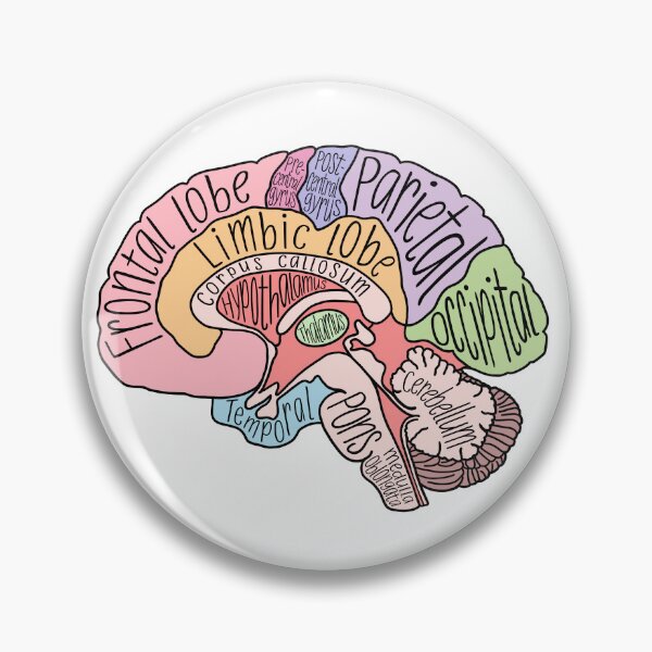 Item preview, Brain Structures designed and sold by neesheew.