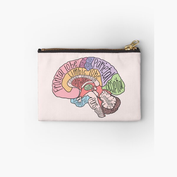 Item preview, Brain Structures designed and sold by neesheew.