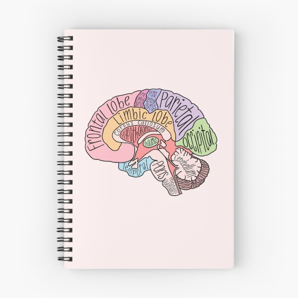 Item preview, Brain Structures designed and sold by neesheew.