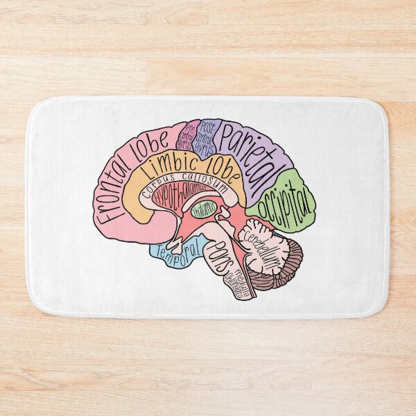 Item preview, Brain Structures designed and sold by neesheew.