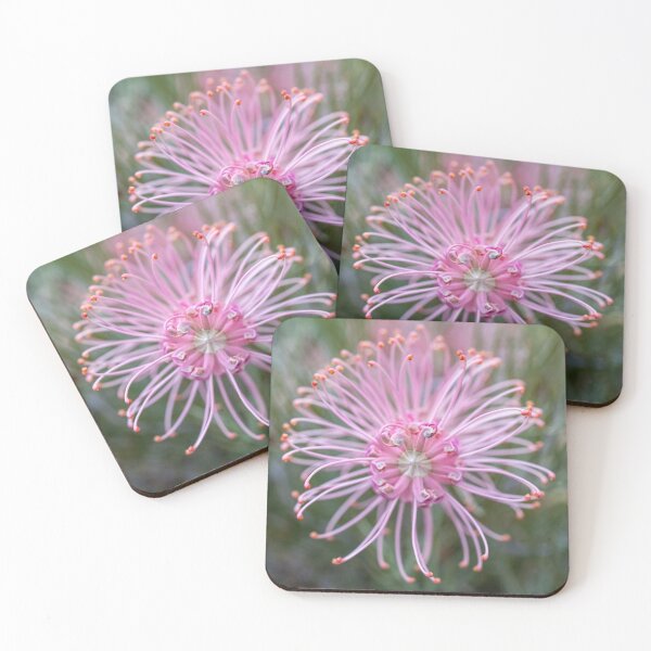 Item preview, Pink Profusion designed and sold by SallyB.Photography.
