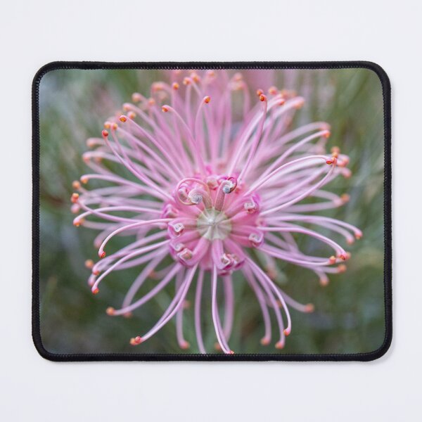 Item preview, Pink Profusion designed and sold by SallyB.Photography.