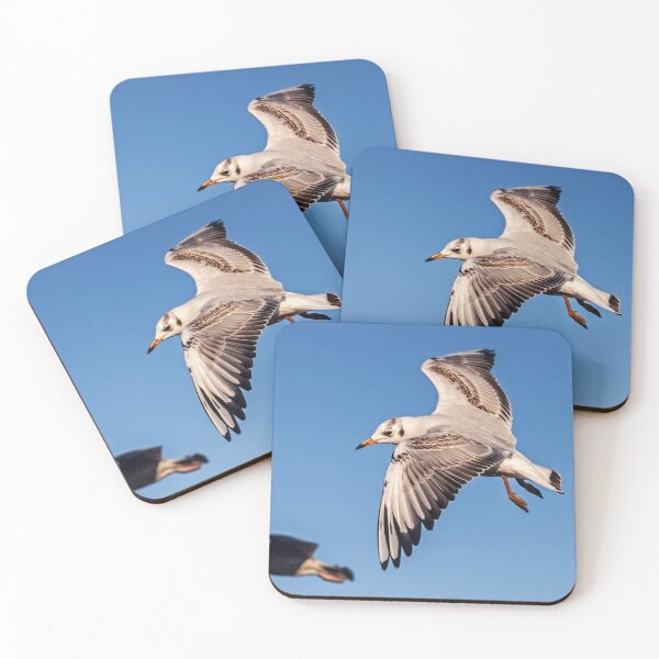 Item preview, Flying High, Seaguls in Flight designed and sold by David Patterson.