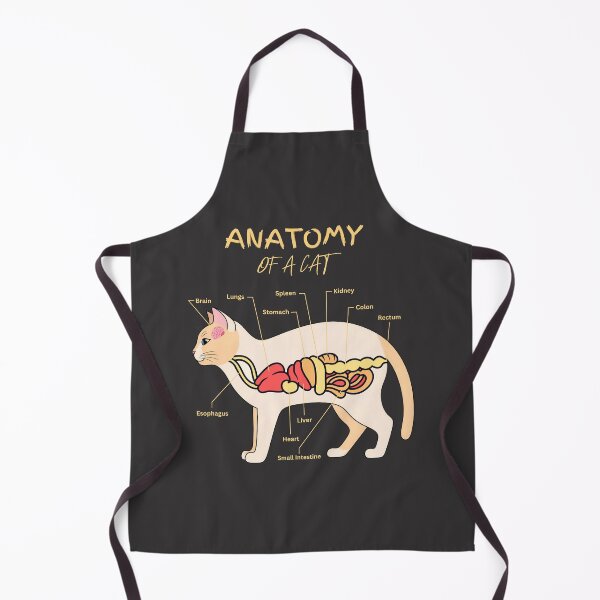 Item preview, Anatomy of a Cat Illustration - Educational and Fun Cat Anatomy Diagram designed and sold by UniversalFlair.