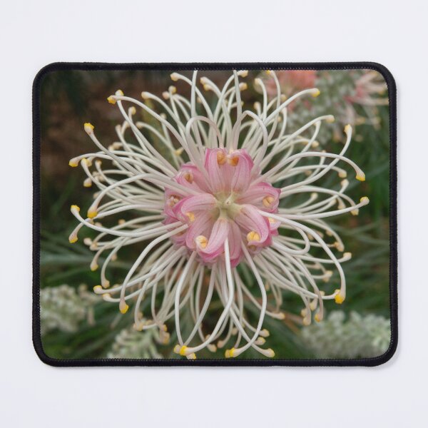 Item preview, Pink Surprise designed and sold by SallyB.Photography.