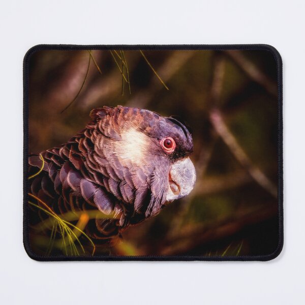 Item preview, Carnaby Black Cockatoo designed and sold by Dave Catley.