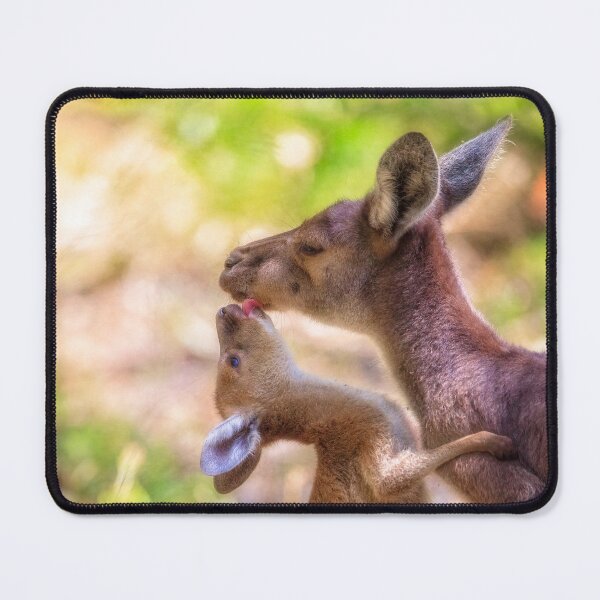 Item preview, Kangaroo with Joey at Yanchep National Park designed and sold by Dave Catley.