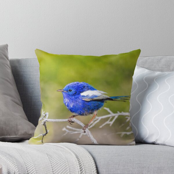Item preview, White-winged Fairywren designed and sold by Dave Catley.