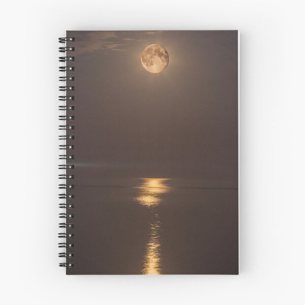 Item preview, Full Moon over the Tynemouth Pier at night designed and sold by David Patterson.