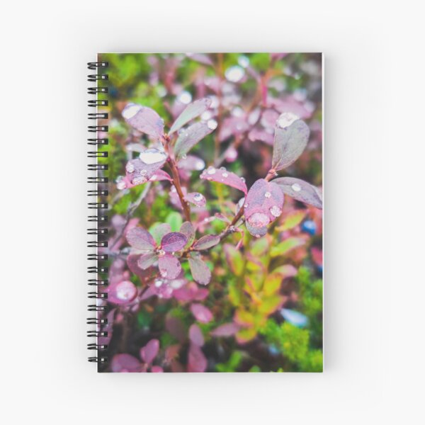 Colors of Autumn Spiral Notebook