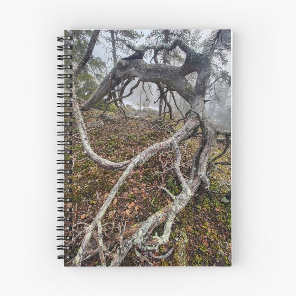 Item preview, Fallen Tree On A Misty Forest designed and sold by Northlogic.