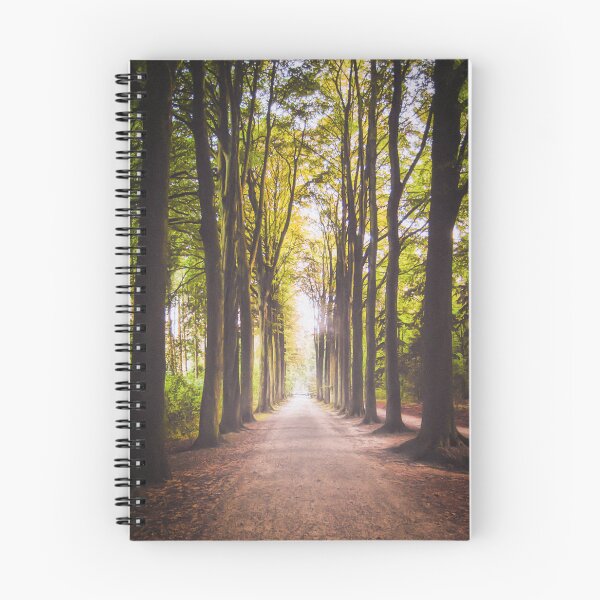 Item preview, Ancient Road designed and sold by Northlogic.
