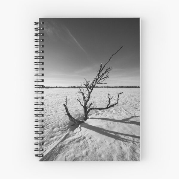 Aperçu de l'œuvre Arbre solitaire créée et vendue par Northlogic.