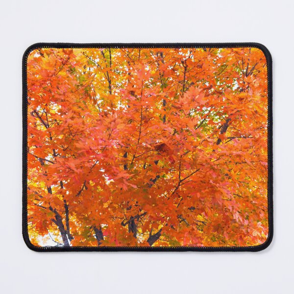 Item preview, Fall Tree Explosion designed and sold by bertsworks300.