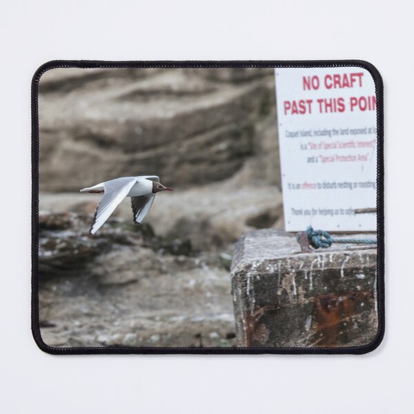 Item preview, Bird in Flight Near Protected Wildlife Site designed and sold by David Patterson.