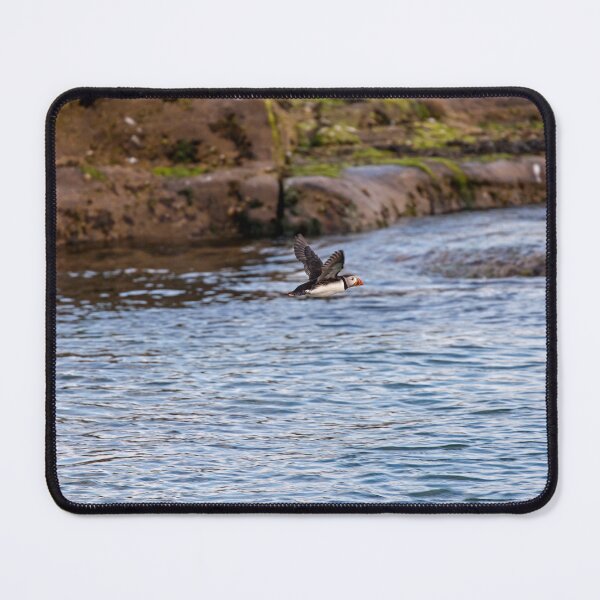 Item preview, Atlantic Puffin in Mid-Flight  Over Coastal Waters designed and sold by David Patterson.