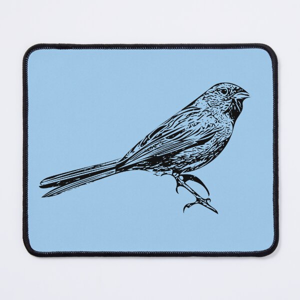 Item preview, Black-chinned Sparrow Black Design designed and sold by designsasstultd.