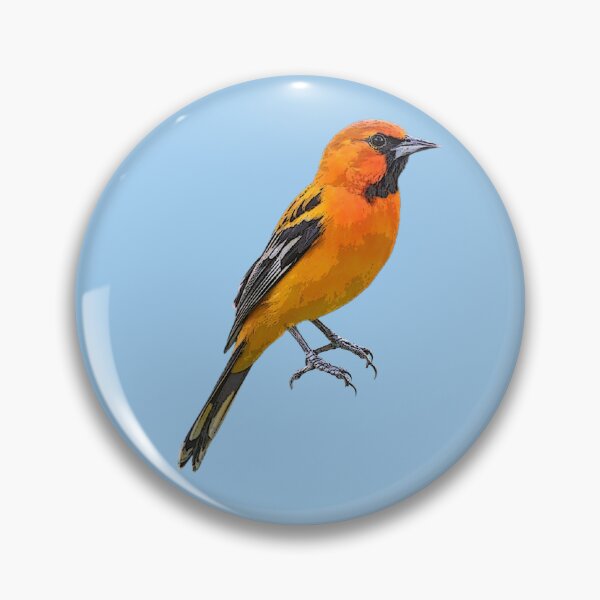 Item preview, Streak-backed Oriole Color Design  designed and sold by designsasstultd.