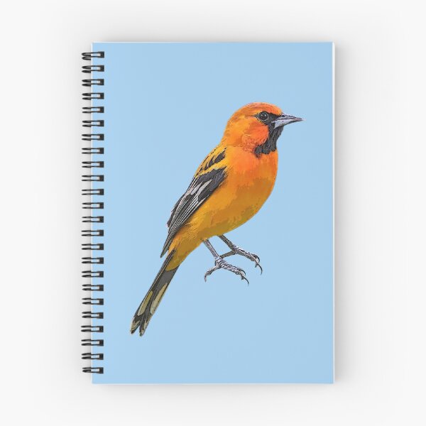 Item preview, Streak-backed Oriole Color Design  designed and sold by designsasstultd.