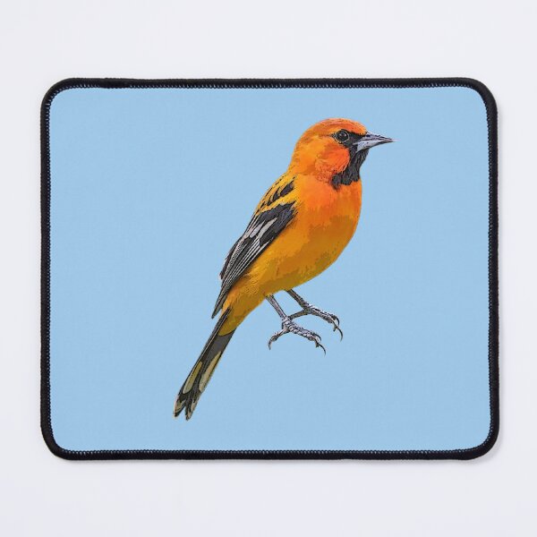 Item preview, Streak-backed Oriole Color Design  designed and sold by designsasstultd.