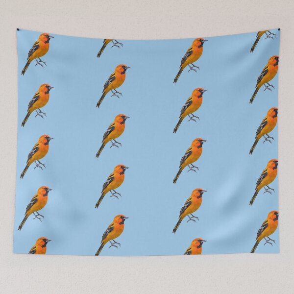 Item preview, Streak-backed Oriole Color Design  designed and sold by designsasstultd.