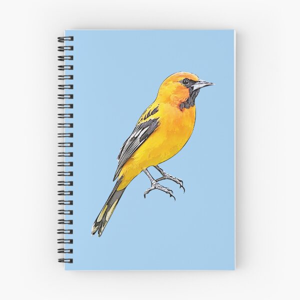 Item preview, Streak-backed Oriole Black Alternate Design  designed and sold by designsasstultd.