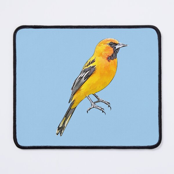 Item preview, Streak-backed Oriole Black Alternate Design  designed and sold by designsasstultd.