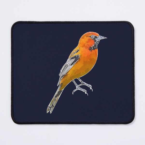 Item preview, Streak-backed Oriole White Alternate Design  designed and sold by designsasstultd.