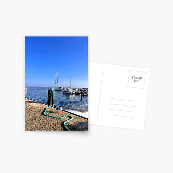 Item preview, A curious seagull at the harbor. designed and sold by Ekirlufly.