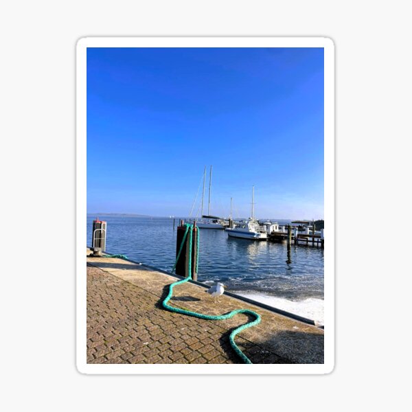 Item preview, A curious seagull at the harbor. designed and sold by Ekirlufly.
