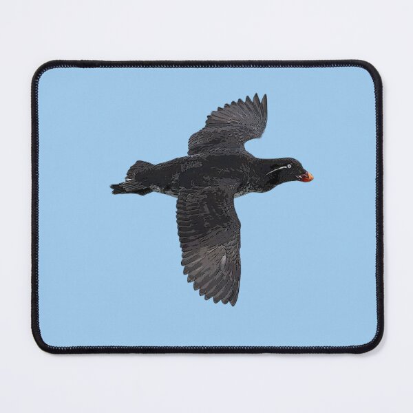 Item preview, Parakeet Auklet Flying Color Design  designed and sold by designsasstultd.